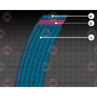 5PK890 - CORREA ACANALADA O POLY V
