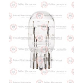 17919 - BOMBILLO AUTOMOVIL