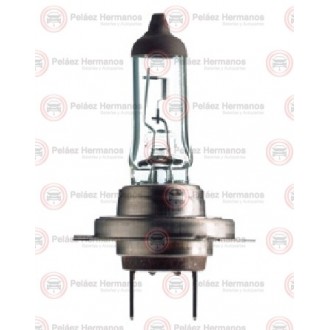 48728 - BOMBILLO VEHICULO PESADO