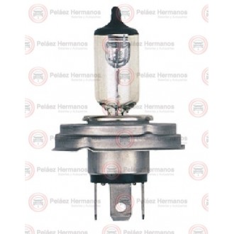 48894 - BOMBILLO VEHICULO PESADO