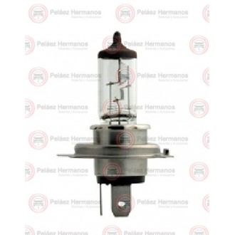 48991 - BOMBILLO VEHICULO PESADO