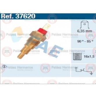 3762 - PERA TEMPERATURA