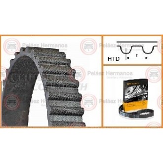 CT749 - CORREA DISTRIBUCION O DE TIEMPO