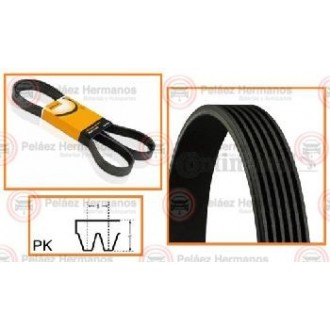 6PK1030 - CORREA ACANALADA O POLY V