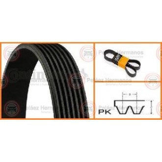 7PK1580 - CORREA ACANALADA O POLY V