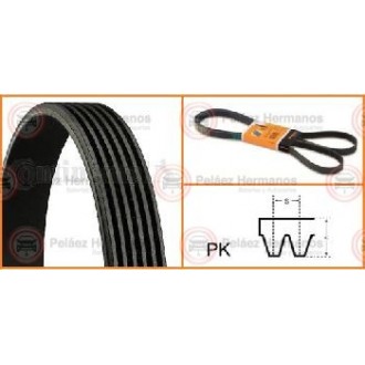 6PK1720 - CORREA ACANALADA O POLY V