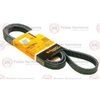 6PK1805 - CORREA ACANALADA O POLY V