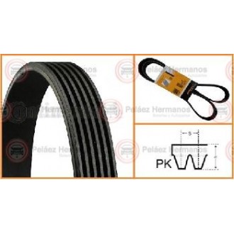 6PK2404 - CORREA ACANALADA O POLY V
