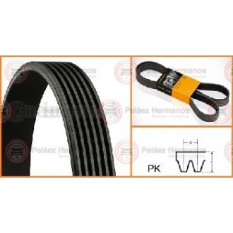 6PK2615 - CORREA ACANALADA O POLY V