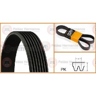 7PK1272 - CORREA ACANALADA O POLY V