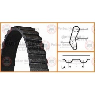 CT666 - CORREA DISTRIBUCION O DE TIEMPO