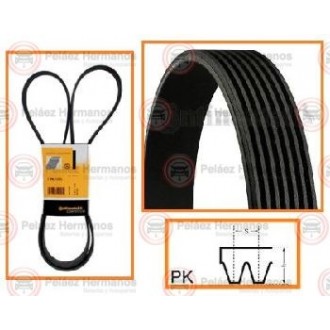 7PK1795 - CORREA ACANALADA O POLY V