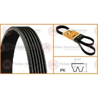 6PK1010 - CORREA ACANALADA O POLY V