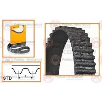 CT975 - CORREA DISTRIBUCION O DE TIEMPO