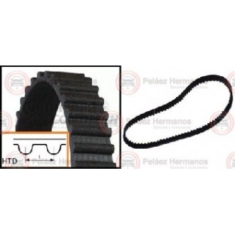 CT988 - CORREA DISTRIBUCION O DE TIEMPO