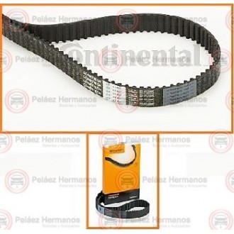 CT1162 - CORREA DISTRIBUCION O DE TIEMPO