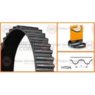 CT1174 - CORREA DISTRIBUCION O DE TIEMPO