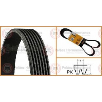 7PK1260 - CORREA ACANALADA O POLY V