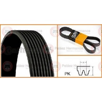 8PK1175 - CORREA ACANALADA O POLY V